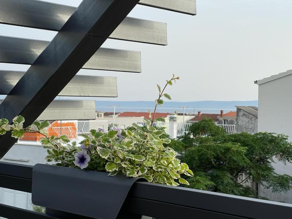 Villa Jadranka Apartments Tučepi Esterno foto